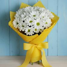 Букет цветов из:  Хризантемы в Краснохолм