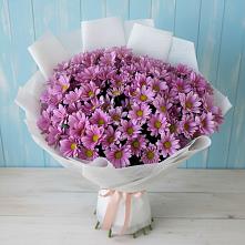 Букет цветов из:  Хризантемы в Краснохолм