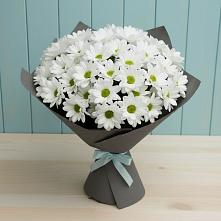 Букет цветов из:  Хризантемы в Краснохолм