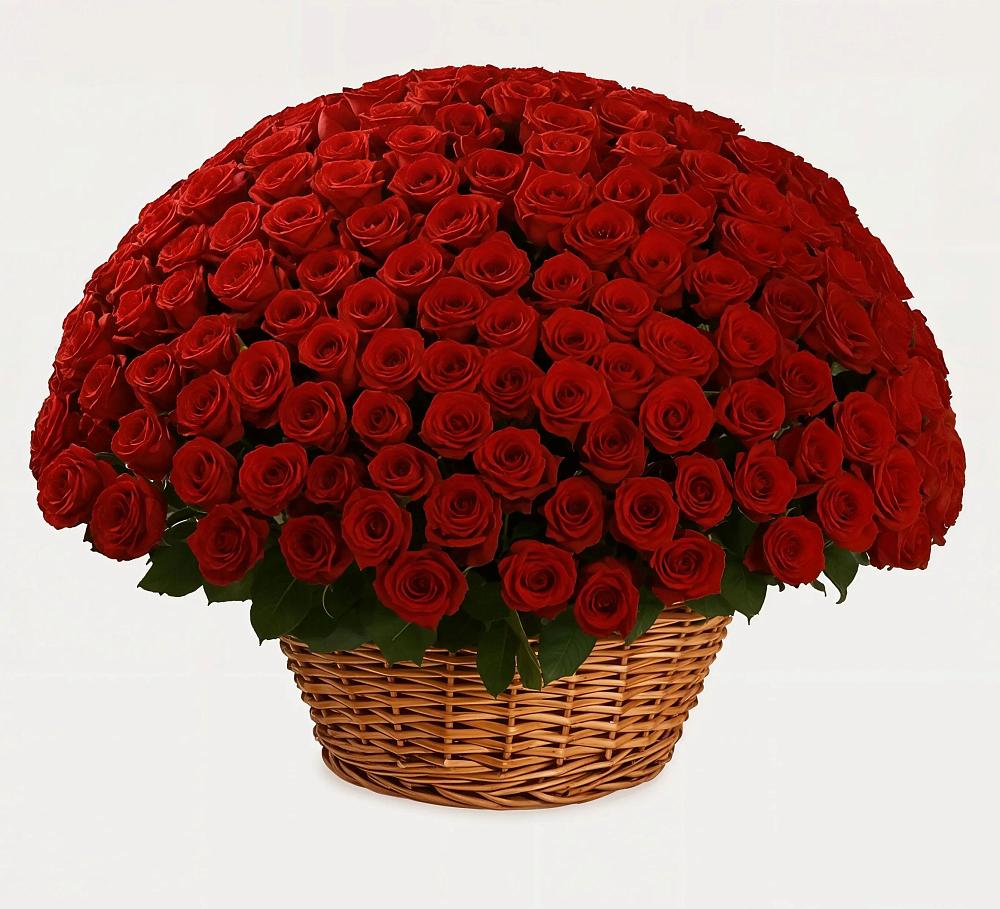 Премиум букет из: Розы в Краснохолм