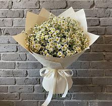 Букет цветов из:  Ромашки в Краснохолм