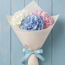 Букет цветов из:  Гортензия в Краснохолм