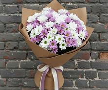 Букет цветов из:  Хризантемы в Краснохолм