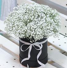 Цветочная композиция из Гипсофила в шляпной коробке #REPLACE_PRED# Краснохолм