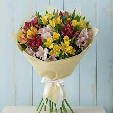 Букет цветов из:  Альстромерии в Краснохолм