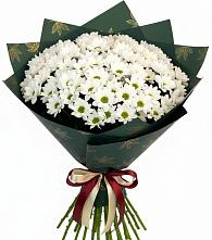 Букет цветов из:  Хризантемы #REPLACE_PRED# Краснохолм