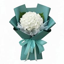 Букет цветов из:  Гортензия в Краснохолм